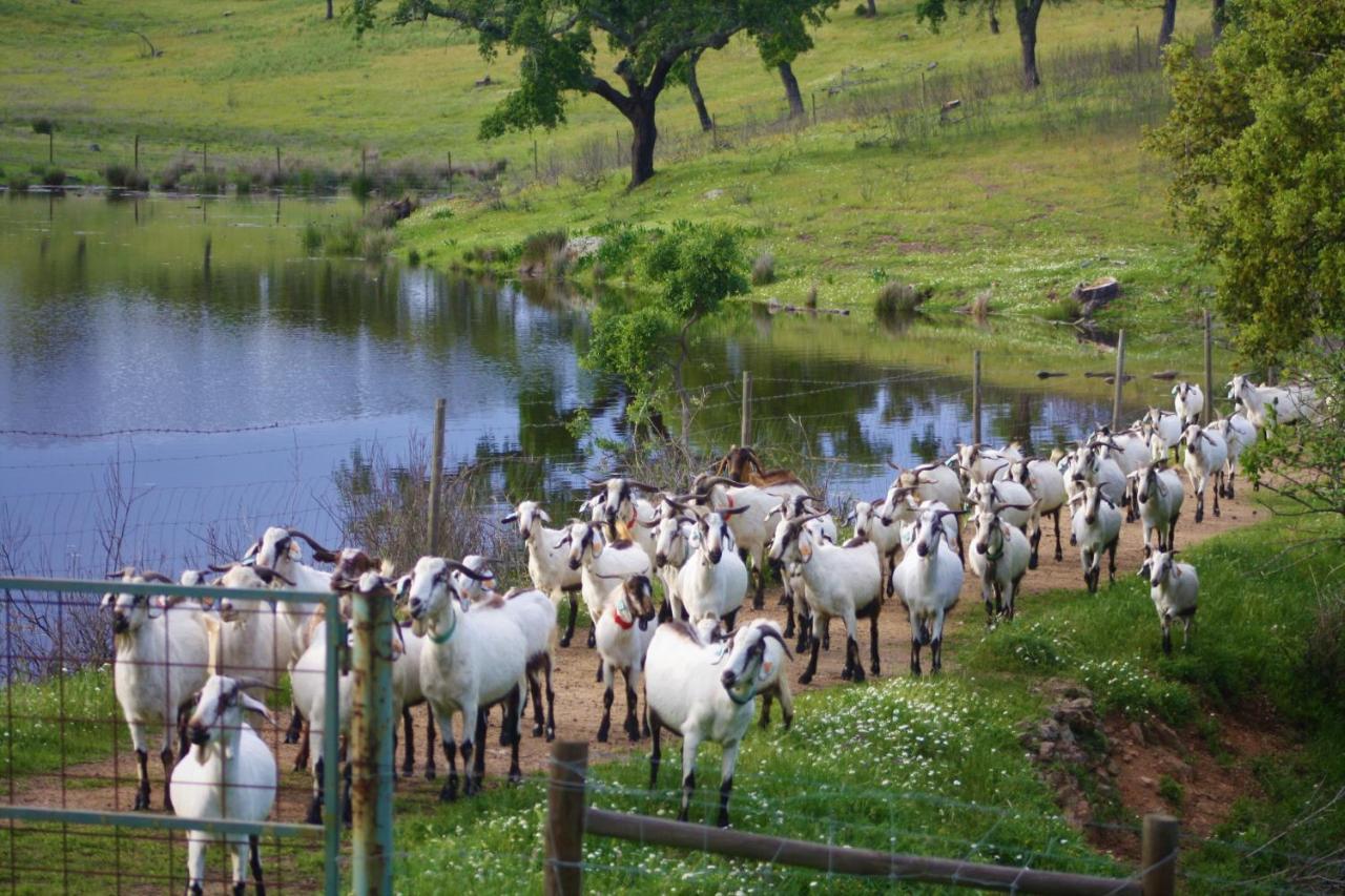 Herdade Vale De Cabras Portel Exterior photo